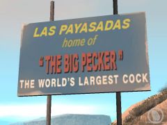 The Big Pecker