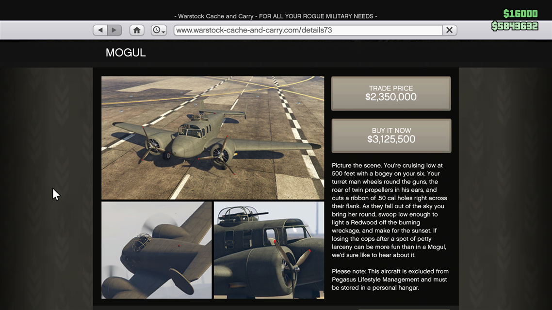medium.gtaonline_mogul.png.ebabb89246309
