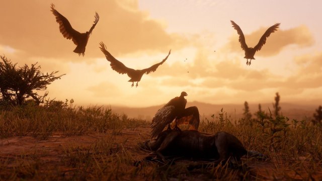 medium.rdr2wildlife10.jpg.58241d883516c7