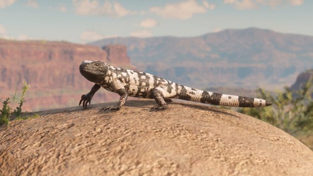 medium.rdr2wildlife11.jpg.3f09906967ae33
