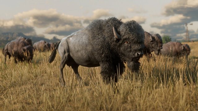 medium.rdr2wildlife12.jpg.8af6b7e3edd362