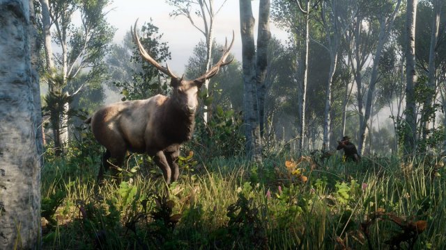 medium.rdr2wildlife14.jpg.edf752015f7145