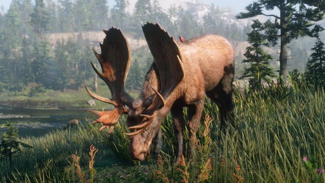 medium.rdr2wildlife15.jpg.9a0feb190bea1b