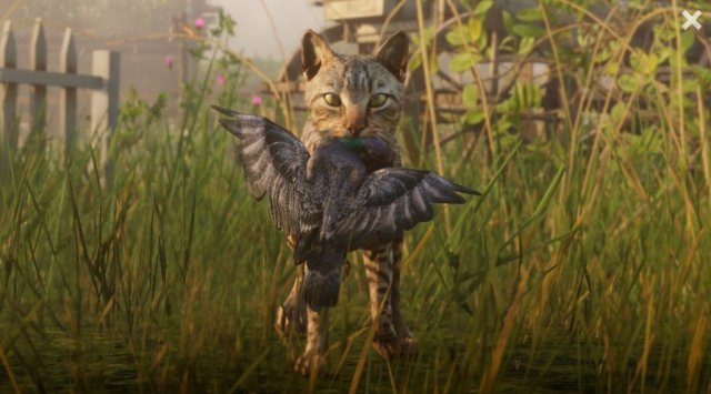 medium.rdr2wildlife16.jpg.ba59fa56621e51