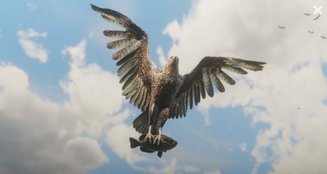medium.rdr2wildlife17.jpg.c27b1db9f7c385