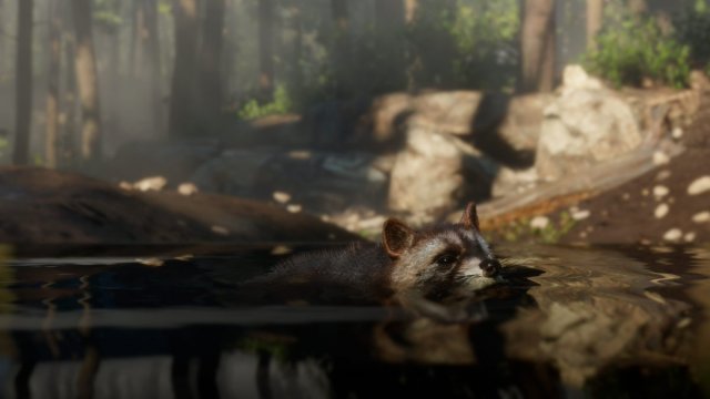 medium.rdr2wildlife19.jpg.b25440f0dd5d7d