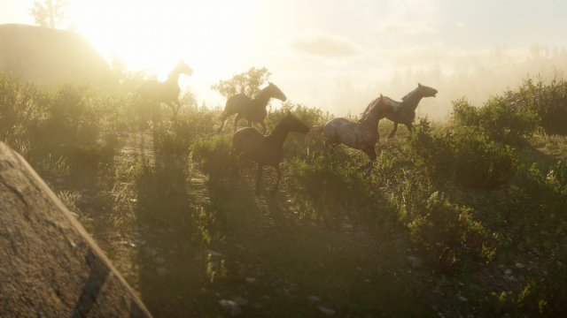 medium.rdr2wildlife20.jpg.a0307bb0359ac5