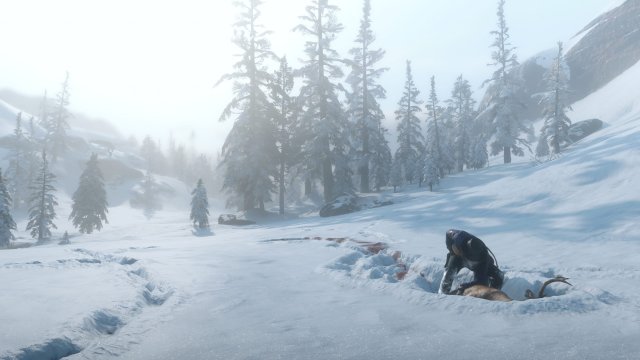 medium.rdr2wildlife3.jpg.cdcc38fcb664bc92ff7b014f915bb281.jpg
