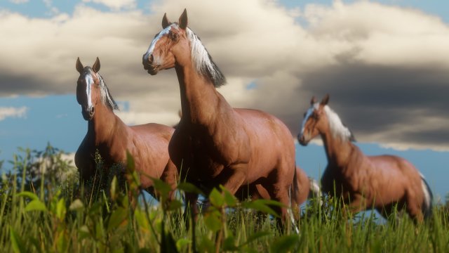medium.rdr2wildlife6.jpg.4c7475945ab4aab20d0f714a1198d0f0.jpg
