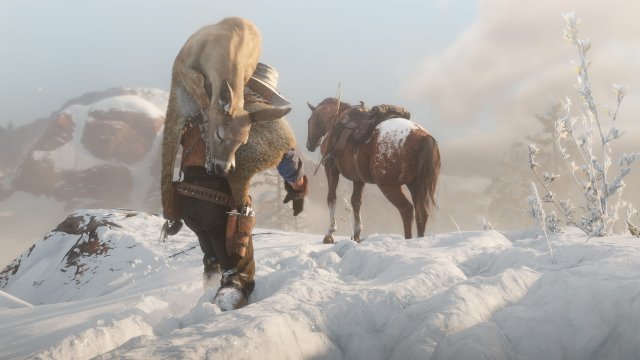 medium.rdr2wildlife9.jpg.ebd74cb097cb6922529b5d9440d7a847.jpg